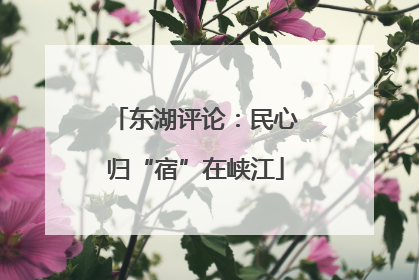 东湖评论：民心归“宿”在峡江