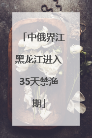 中俄界江黑龙江进入35天禁渔期