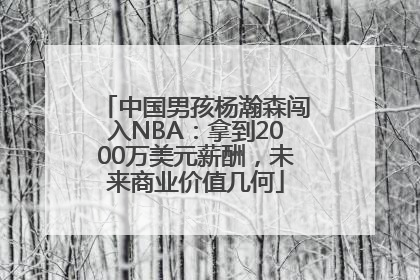 中国男孩杨瀚森闯入NBA：拿到2000万美元薪酬，未来商业价值几何
