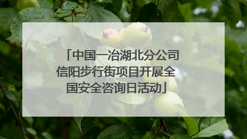 中国一冶湖北分公司信阳步行街项目开展全国安全咨询日活动