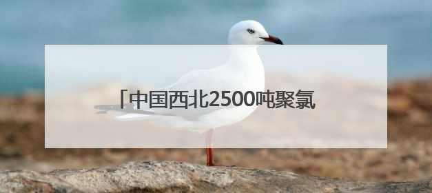 中国西北2500吨聚氯乙烯经湖南怀化首发越南