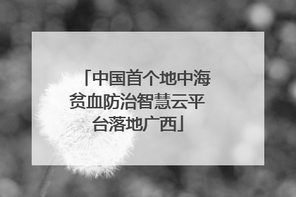 中国首个地中海贫血防治智慧云平台落地广西
