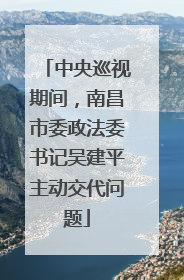 中央巡视期间，南昌市委政法委书记吴建平主动交代问题