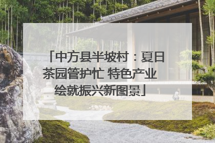 中方县半坡村：夏日茶园管护忙 特色产业绘就振兴新图景