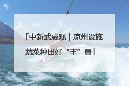 中新武威观｜凉州设施蔬菜种出好“丰”景