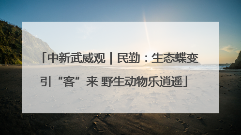 中新武威观｜民勤：生态蝶变引“客”来 野生动物乐逍遥