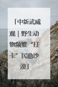 中新武威观｜野生动物频繁“打卡”民勤沙漠
