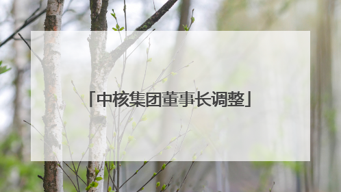 中核集团董事长调整