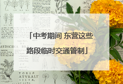 中考期间 东营这些路段临时交通管制