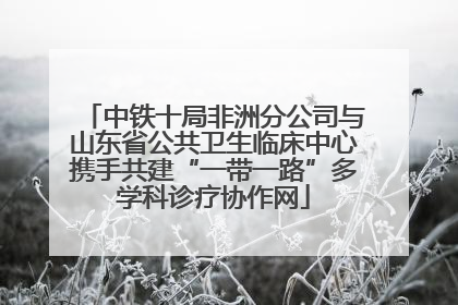 中铁十局非洲分公司与山东省公共卫生临床中心携手共建“一带一路”多学科诊疗协作网