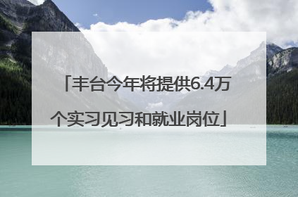 丰台今年将提供6.4万个实习见习和就业岗位