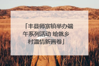 丰县师寨镇举办端午系列活动 绘就乡村温情新画卷