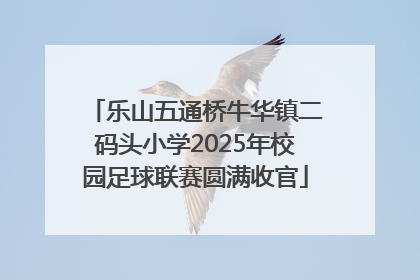 乐山五通桥牛华镇二码头小学2025年校园足球联赛圆满收官