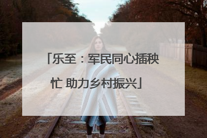 乐至：军民同心插秧忙 助力乡村振兴