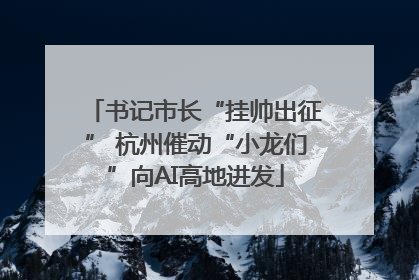 书记市长“挂帅出征” 杭州催动“小龙们”向AI高地进发