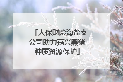 人保财险海盐支公司助力嘉兴黑猪种质资源保护