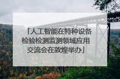 人工智能在特种设备检验检测监测领域应用交流会在敦煌举办