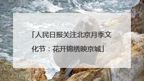 人民日报关注北京月季文化节：花开锦绣映京城