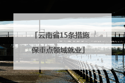 云南省15条措施保重点领域就业