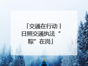 交通在行动丨日照交通执法“粽”在岗