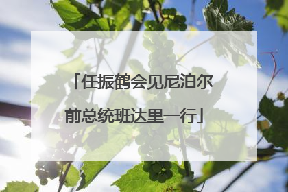任振鹤会见尼泊尔前总统班达里一行