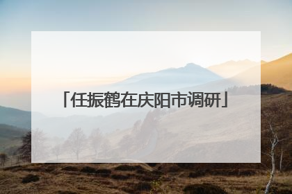 任振鹤在庆阳市调研