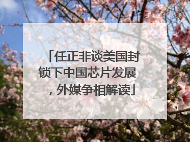 任正非谈美国封锁下中国芯片发展，外媒争相解读