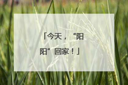 今天，“阳阳”回家！