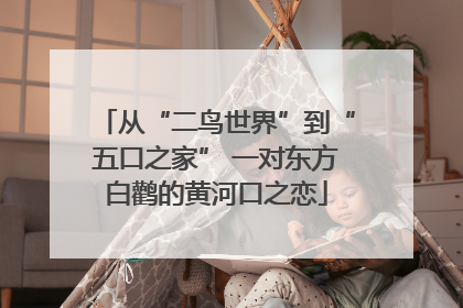 从“二鸟世界”到“五口之家” 一对东方白鹳的黄河口之恋