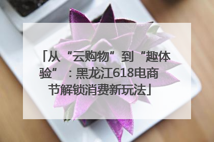从“云购物”到“趣体验”：黑龙江618电商节解锁消费新玩法