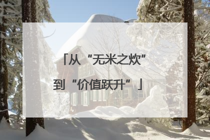 从“无米之炊”到“价值跃升”