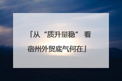 从“质升量稳” 看宿州外贸底气何在