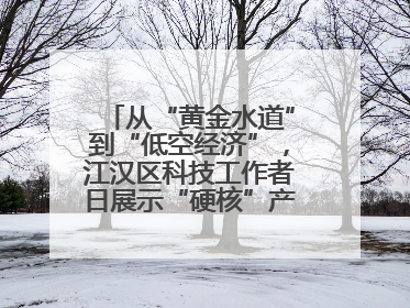 从“黄金水道”到“低空经济”，江汉区科技工作者日展示“硬核”产业答卷