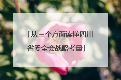 从三个方面读懂四川省委全会战略考量