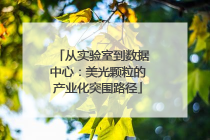 从实验室到数据中心：美光颗粒的产业化突围路径