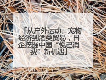 从户外运动、宠物经济到酒类贸易，日企挖掘中国“悦己消费”新机遇