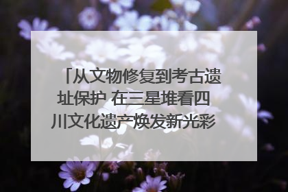 从文物修复到考古遗址保护 在三星堆看四川文化遗产焕发新光彩｜您牵挂的四川