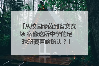 从校园绿茵到省赛赛场 宿豫这所中学的足球班藏着啥秘诀？