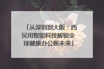 从深圳到大阪：西昊用智能科技解锁全球健康办公新未来