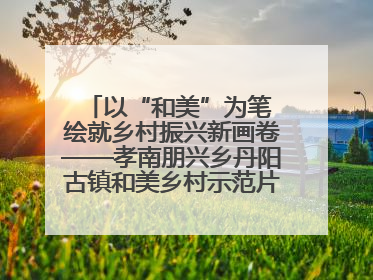以“和美”为笔 绘就乡村振兴新画卷——孝南朋兴乡丹阳古镇和美乡村示范片区建设综述