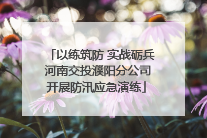 以练筑防 实战砺兵 河南交投濮阳分公司开展防汛应急演练