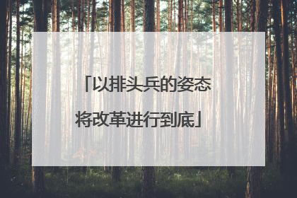 以排头兵的姿态将改革进行到底
