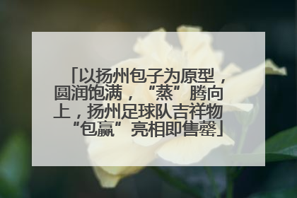 以扬州包子为原型，圆润饱满，“蒸”腾向上，扬州足球队吉祥物“包赢”亮相即售罄