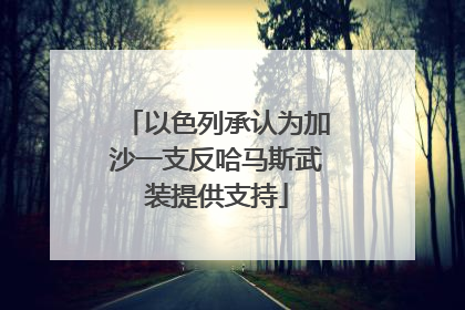 以色列承认为加沙一支反哈马斯武装提供支持