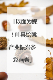 以面为媒！叶县绘就产业振兴多彩画卷