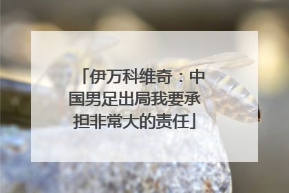 伊万科维奇：中国男足出局我要承担非常大的责任