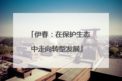 伊春：在保护生态中走向转型发展