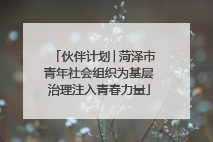 伙伴计划│菏泽市青年社会组织为基层治理注入青春力量