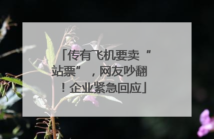 传有飞机要卖“站票”，网友吵翻！企业紧急回应