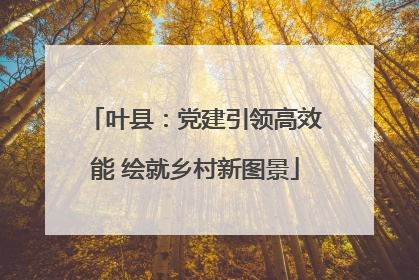 叶县：党建引领高效能 绘就乡村新图景